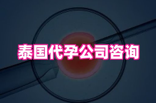 uiui_代生孩子包成功_代怀宝宝价格